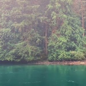 Meet your Posher, Isabelle